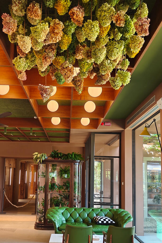 Dried hydrangea installation