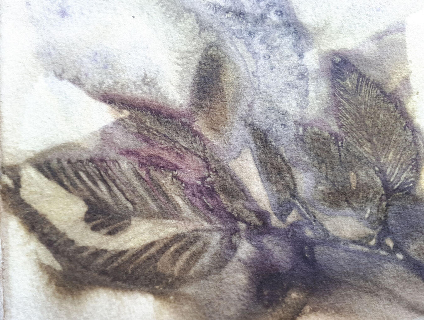 Close-up of a botanical ecoprint featuring hornbeam leaves and natural textures.