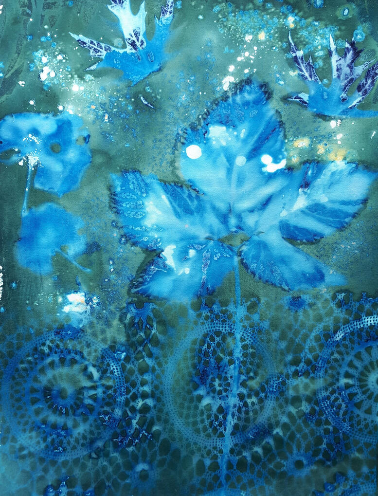 Blue cyanotype print using maple leaves and lace.