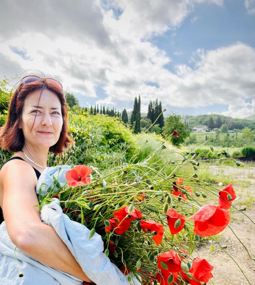 Poppies