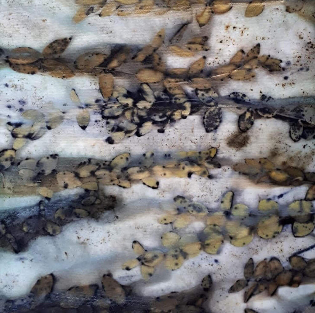 Eco-printed eucaluptus
