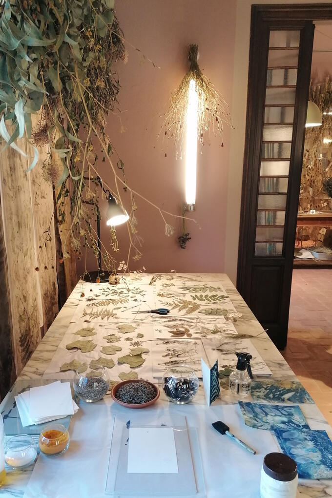 Cyanotype workshopd