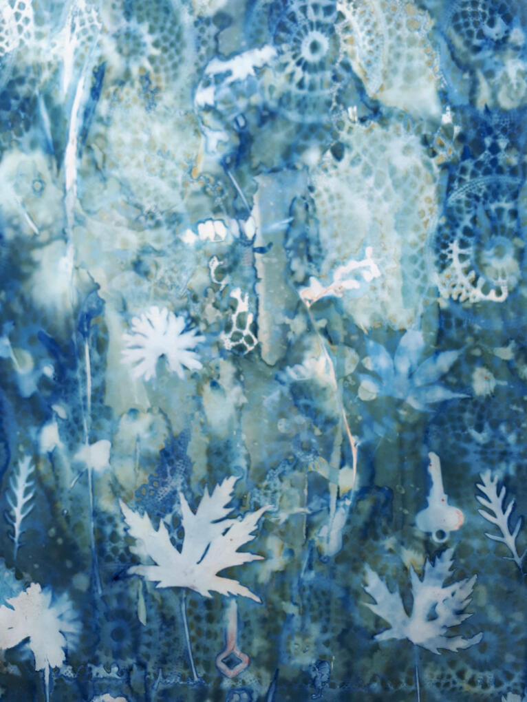 Lace and maple cyanotype